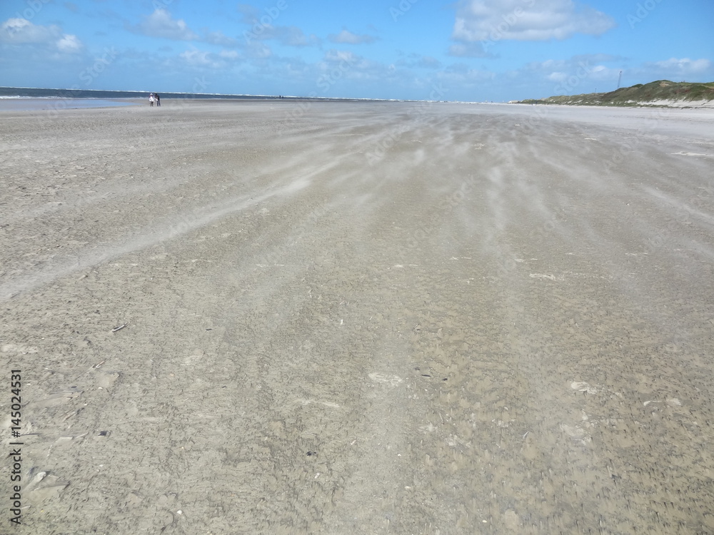 Windy blavand beach with drifting sand in Denmark