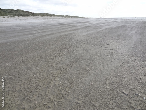 Stormy blavand beach with flying sand in Denmark