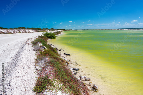 Dirt Road and Green Water