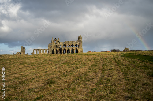 Whitby across a field with clouds