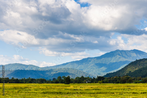 Mountain and Clouds, Countryside in Thailand © patpitchaya