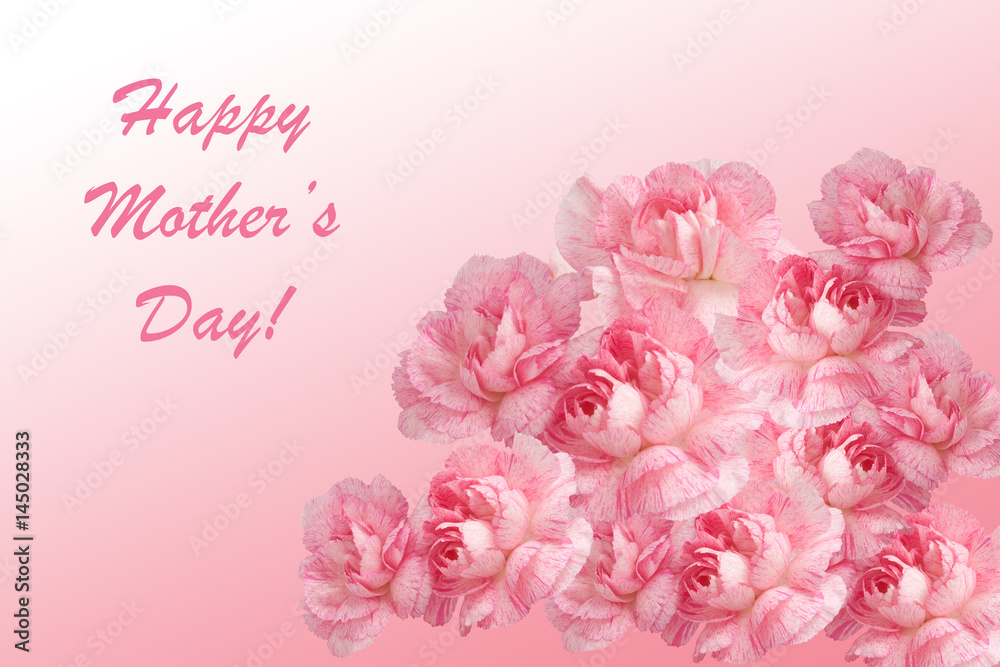 Mother's Day greeting Card with pink Carnations, lettering on a light pink background. Flower gift. Invitation.