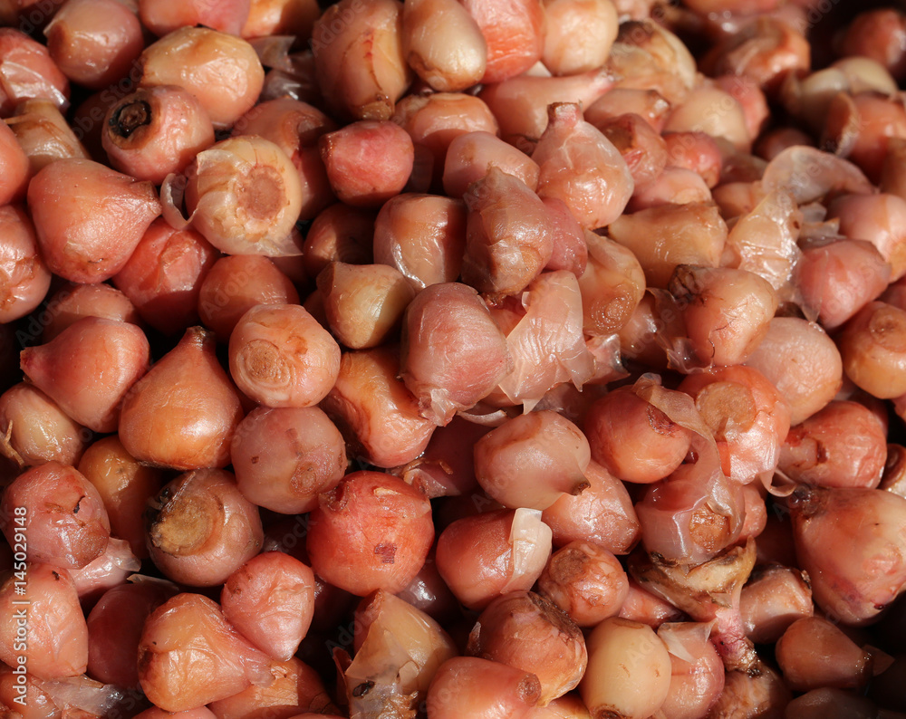 background of wild onions with olive oil for sale in Southern Eu