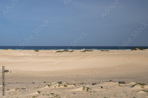 Sand dunes on the seashore of the Islands on the Atlantic Ocean. Nobody  only steps