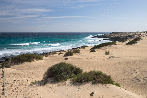 Yellow sand and black stones on the volcanic coastline