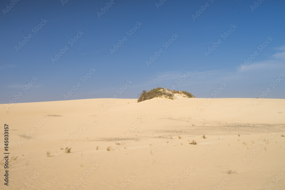 Yellow sand dunes and bright blue sky Yellow sand dunes and bright blue sky