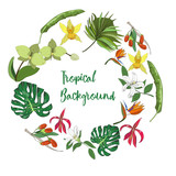 Exotic collection of hand drawn tropic leaves and flowers. Tropical background.