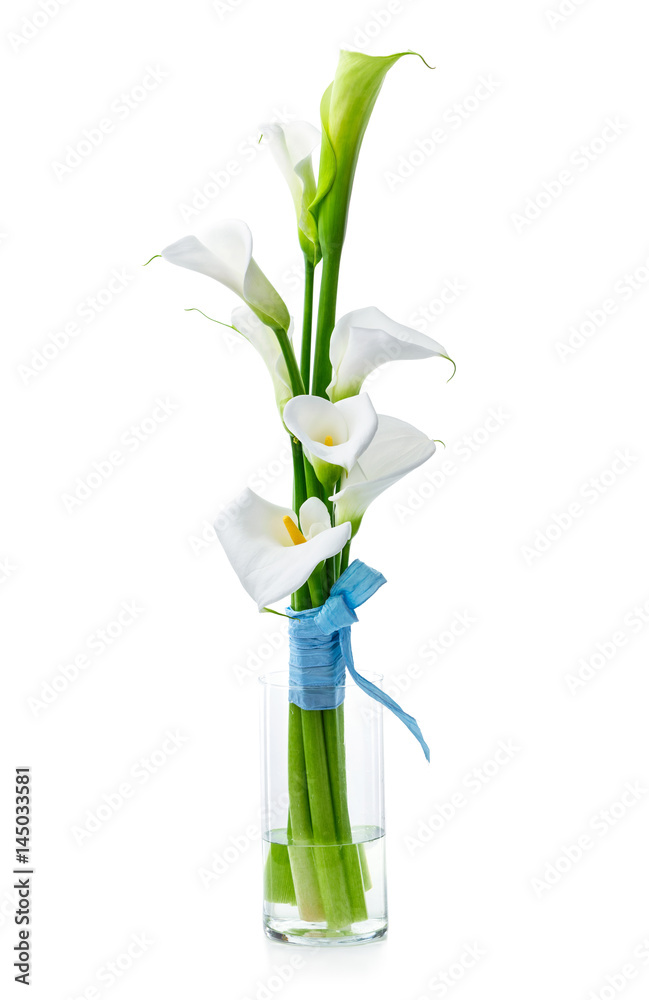 Bouquet of white calla lilies in glass vase Bouquet of white calla lilies in glass vase