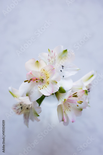 Beautiful tender bouquet of Alstroemeria on white marble background