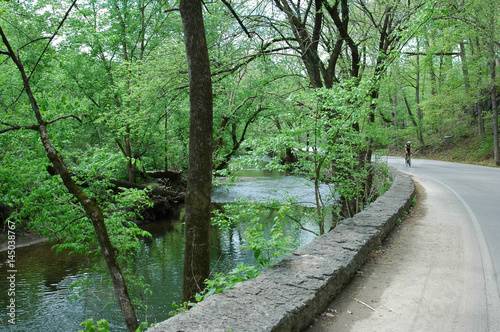 A ROAD ALONG BEARGRASS CREEK