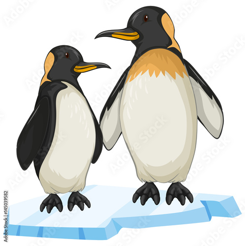 Two penguin on ice