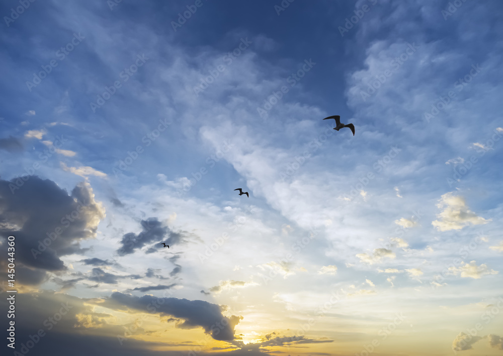 Inspirational sunrise behind three birds soaring loftily through the sky, achievement and success concept