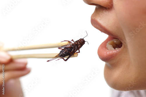 Asian female eating cricket - Eating insect concept © weerapat1003