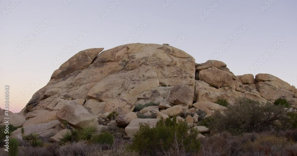 Joshua Tree National Park during sunrise time. Joshua Tree National Park during sunrise time.