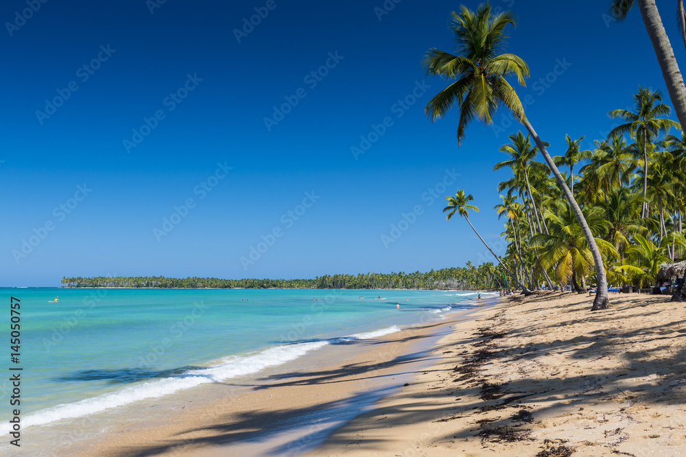 Beautiful tropical beach with palm trees on a sunny day


