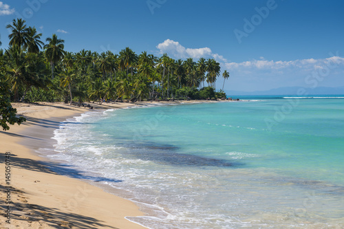 Fototapeta Naklejka Na Ścianę i Meble -  Beautiful tropical beach with palm trees on a sunny day

