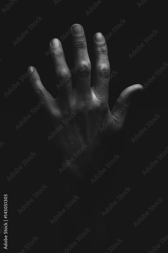 Fototapeta premium HAND