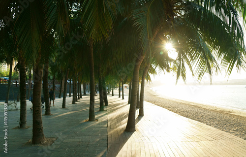 Morning tourist embankment with palm trees along beach at Dadonghai Bay on Hainan Island, China photo