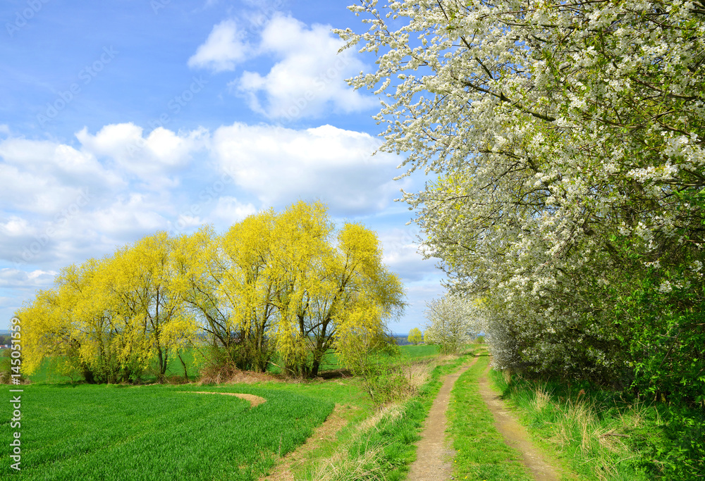 Beautiful spring landscape in Czech Republic.