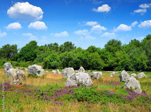 Megalithic monuments menhirs in Carnac - Brittany, France