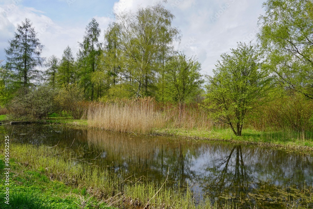 Beautiful spring day on the pond before the storm - beautiful green areas of the city
