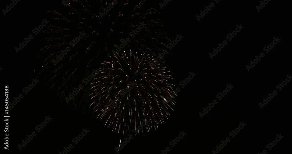 Firework Display during the Hanabi Festival illuminating the Sky of Tokyo Firework Display during the Hanabi Festival illuminating the Sky of Tokyo