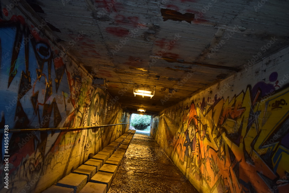 Camino de agua en el tunel