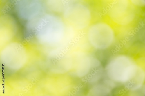 blurred of green bokeh background