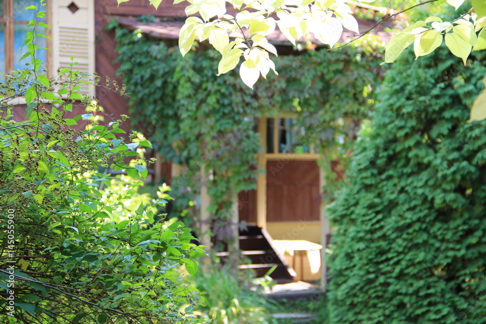 Little door in garden