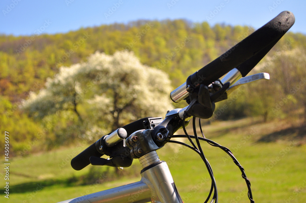 Bicycle in nature in front of blooming tree, Bicycle tourism concept Bicycle in nature in front of blooming tree, Bicycle tourism concept