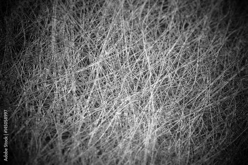 Black and White filament abstract background