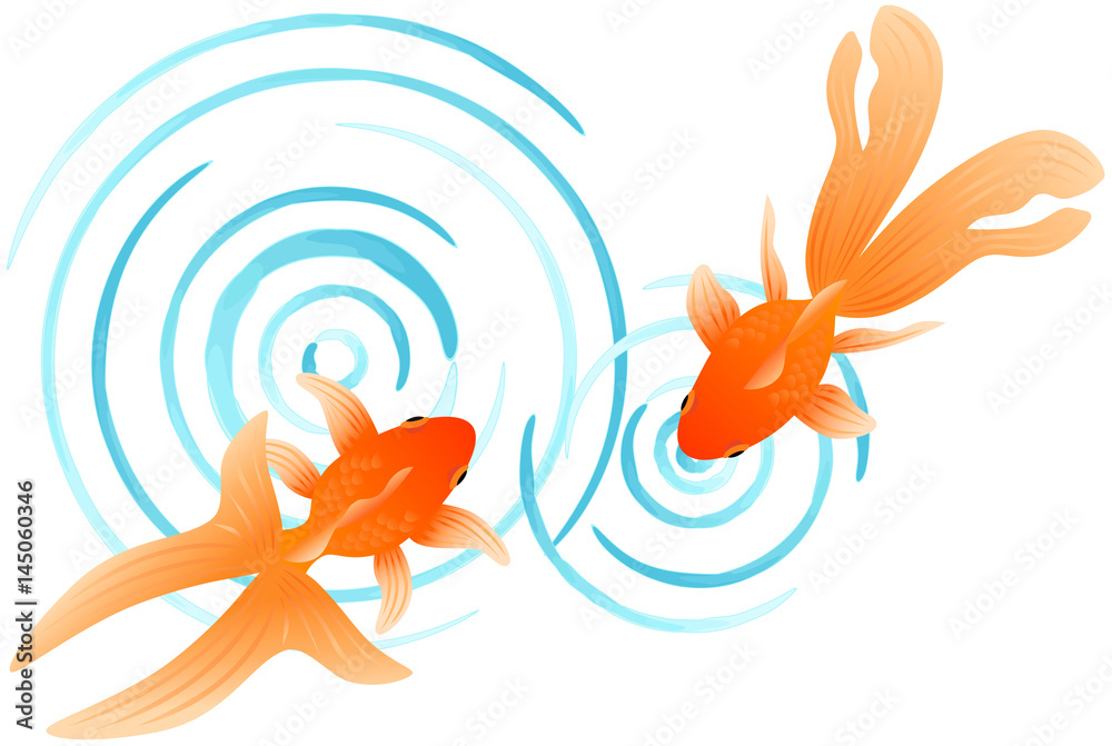 波紋と金魚 Stock イラスト Adobe Stock 波紋と金魚 Stock イラスト Adobe Stock