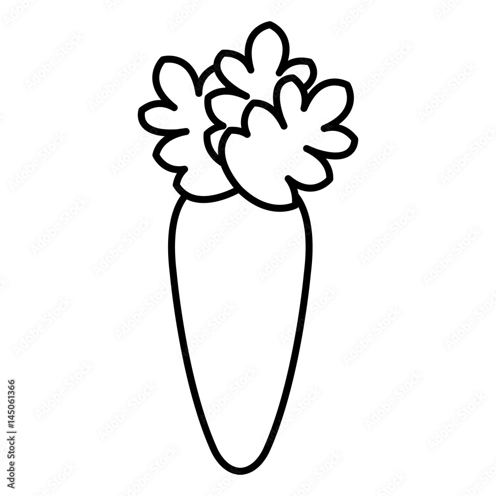 fresh carrot vegetable icon vector illustration design fresh carrot vegetable icon vector illustration design
