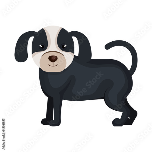 cute dog pet icon vector illustration design © Gstudio