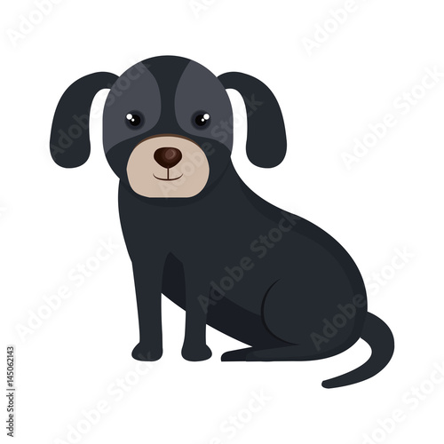 cute dog pet icon vector illustration design