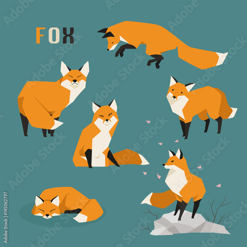 fox various poses flat design illustration set