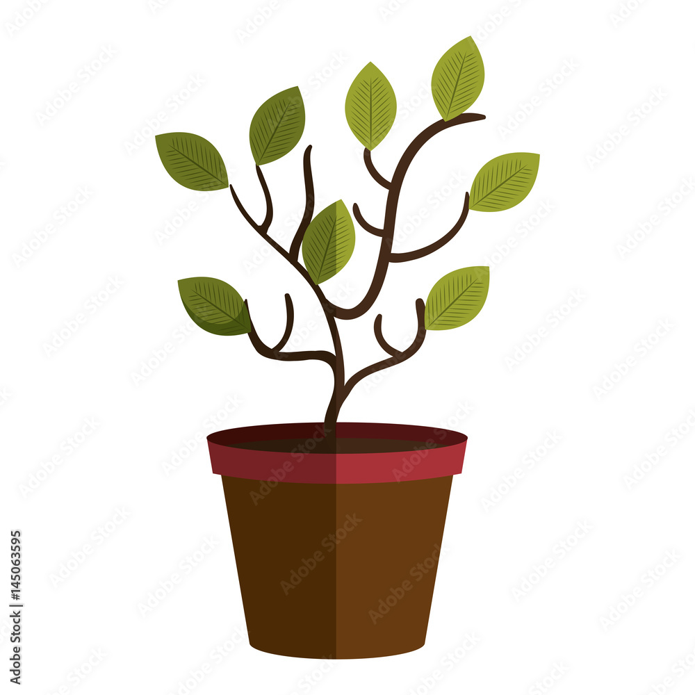 tree plant in pot vector illustration design tree plant in pot vector illustration design