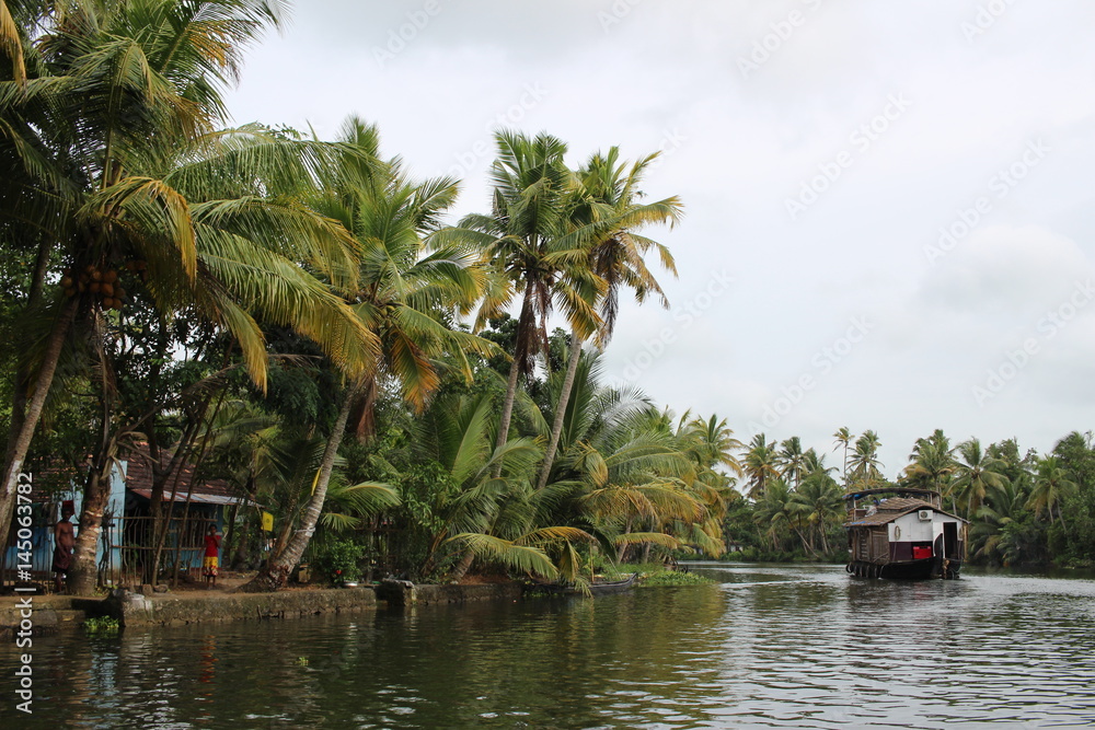 Kerala backwater India