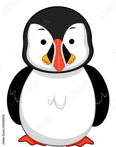 Colorful Puffin Bird