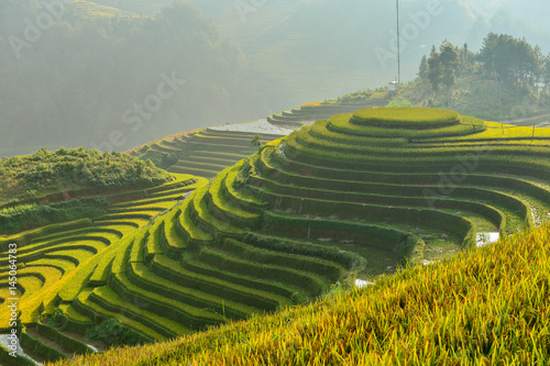 Rice terrace on during sunset ,Vietnam,vietnam rice terrace,rice field of vietnam,terrace rice field,mu chang chai rice field photo