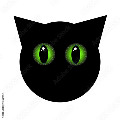 Black cat with green eyes on white background. Home pet.