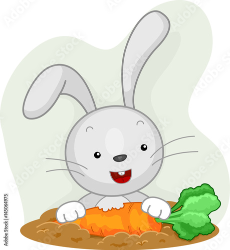Rabbit Attentive Eating Carrot Garden