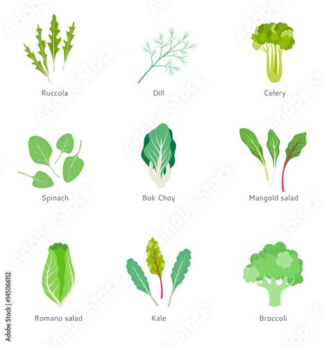 Healthy ingredients for vegetable salad.