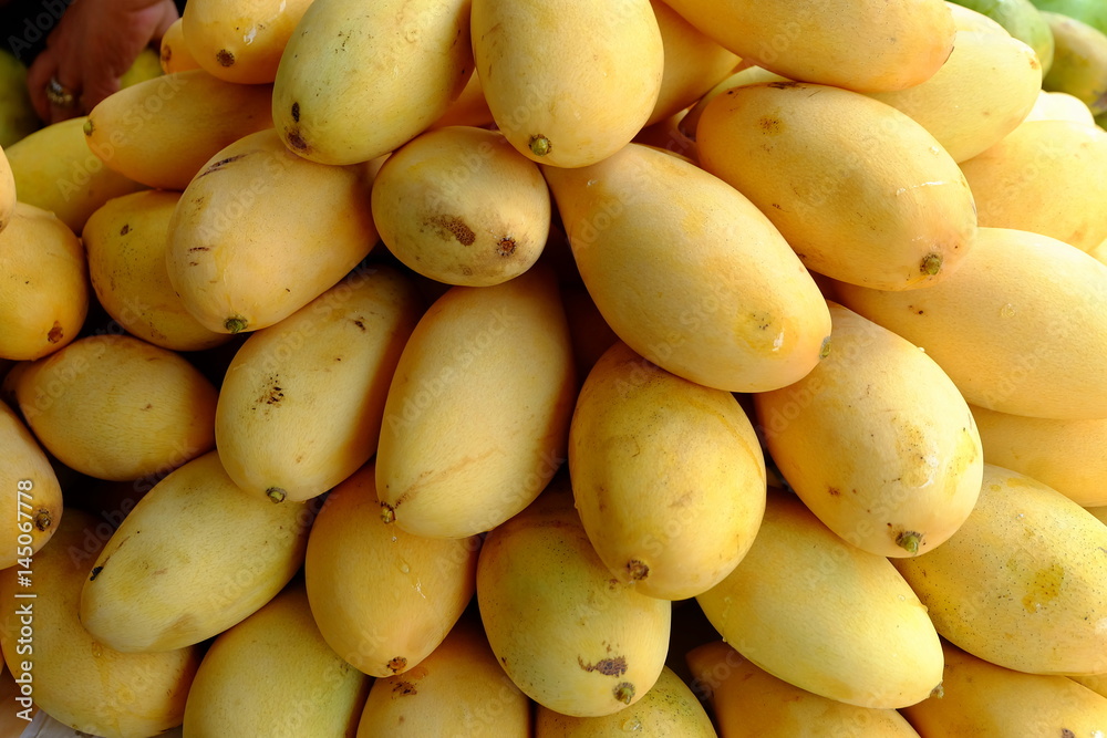 Close up Ripe Mango. (Selective Focus) Close up Ripe Mango. (Selective Focus)