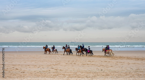 groupe de chevaux sur la plage