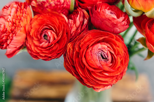 Fototapeta Bouquet of red ranunculus flowers on a rustic background