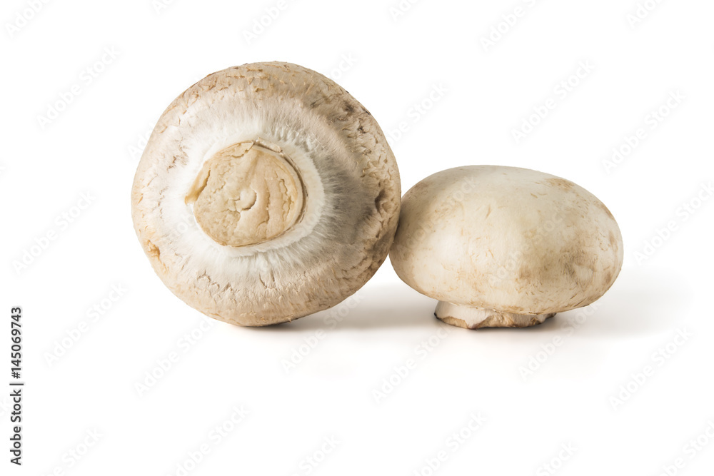 Mushrooms champignons Mushrooms champignons