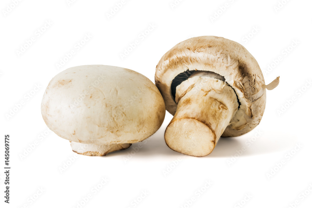Mushrooms champignons Mushrooms champignons