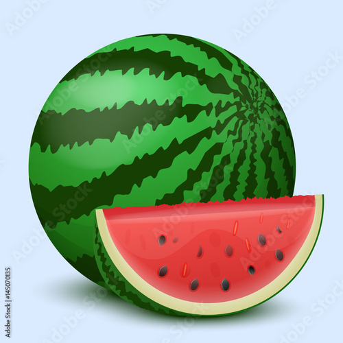 Watermelon on a light background. Vector illustration.