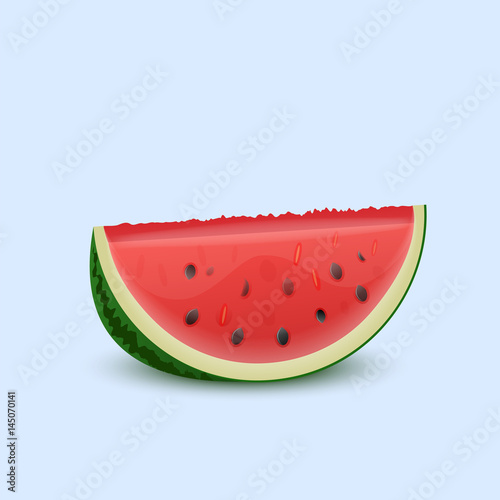 Watermelon on a light background. Vector illustration.